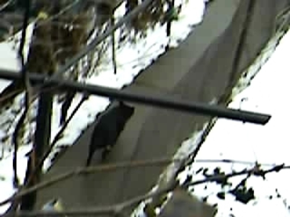 Buhelando-ku4eto na selo bymartu`