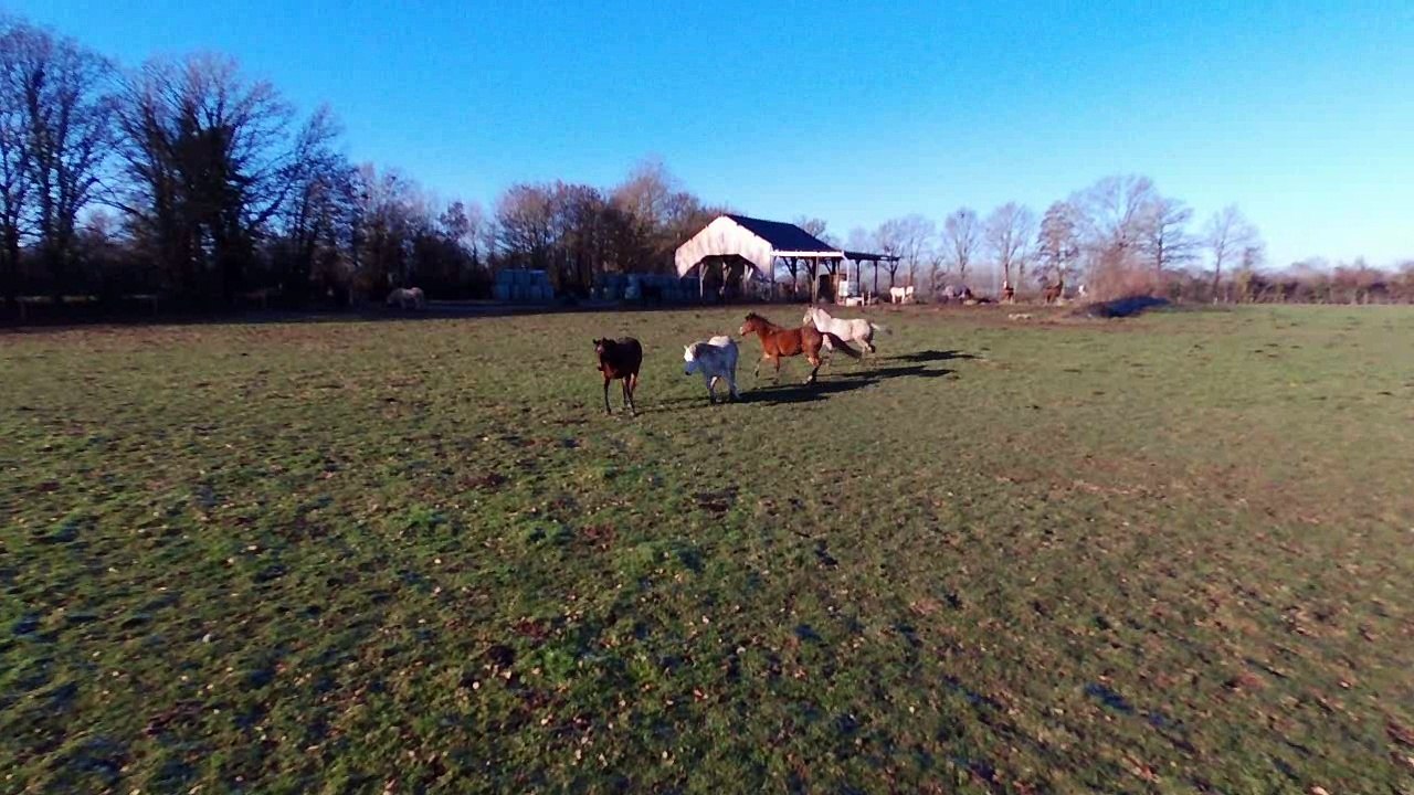 Centre Equestre Les Centaures - Mayenne