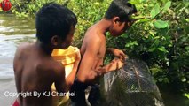 Amazing Children Catch Water Snake Using Bottle Net Trap - How to Catch Water Snake in Cambodia