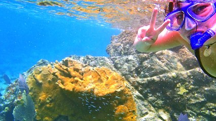 St. John - Lost In Paradise