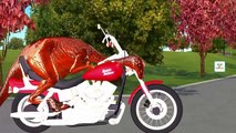 Dinosaurs MotorBike Colors for Kids to Learn | Finger Family Hand Colors Nursery Rhymes Collection