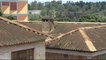 Kenya struggles to scrap banned asbestos roofing