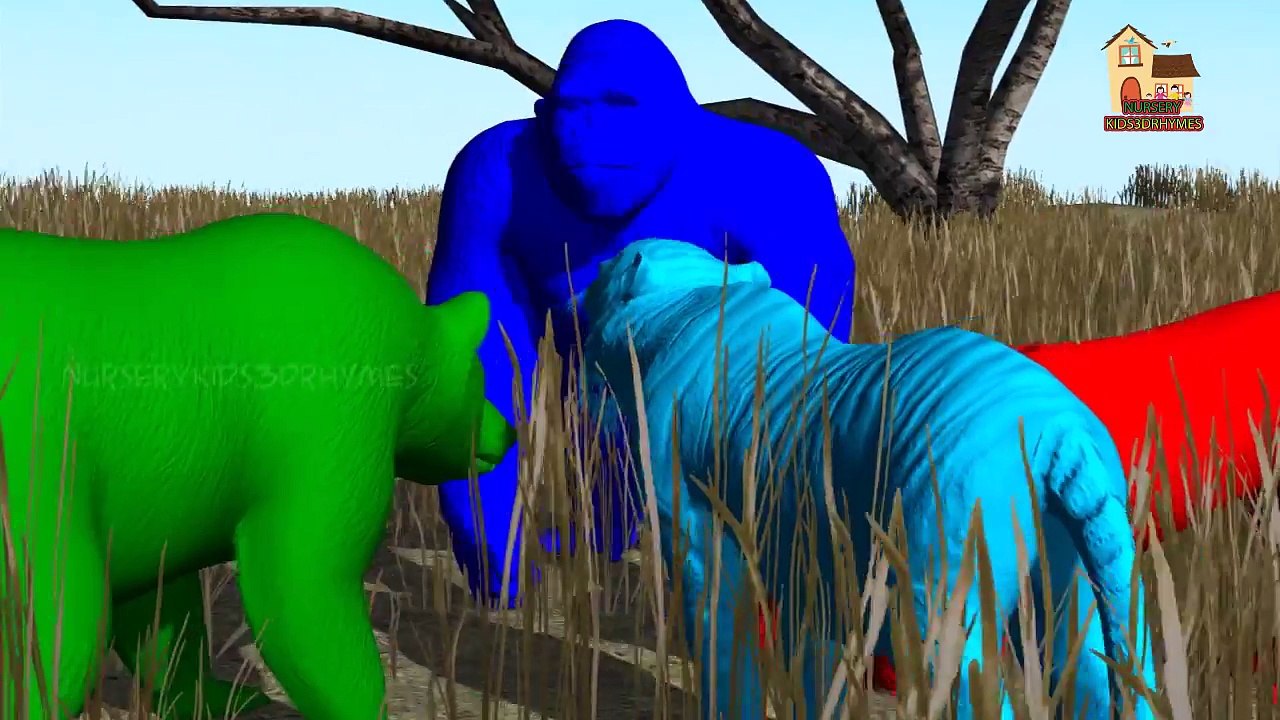 3D Colors Wild Animals #Rainbow Colors Songs For Kids | Non Stop Colors Songs Collection |