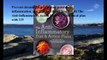 Download The Anti-Inflammatory Diet & Action Plans: 4-Week Meal Plans to Heal the Immune System and Restore Overall Heal