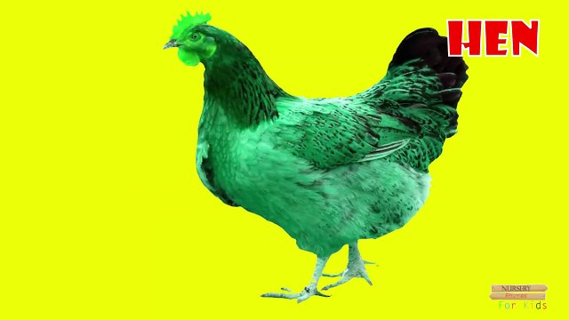 Learning farm Animals names sounds for children and kids | Hen Duck Cow Farm Animals for Children