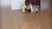 Dogs poppy With Human Child Funny Or Funny Dog poppy think  he is momKids Funny Video,Baby Popcy,funny baby fails,funny baby videos,baby videos,funny children videos,children funny videos,videos for kids,
