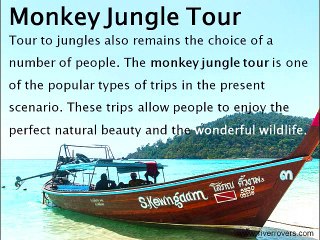 Phuket Tour | Thailand Holiday Package