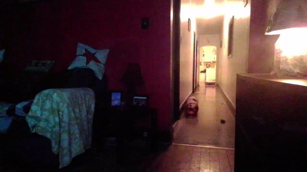 Cat cam returns! (24)