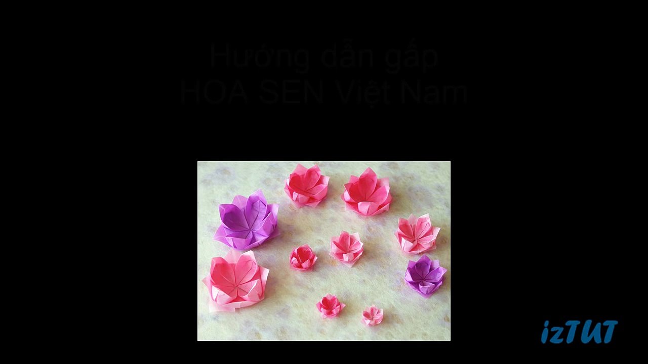 Hướng dẫn cách gấp HOA SEN VIỆT NAM