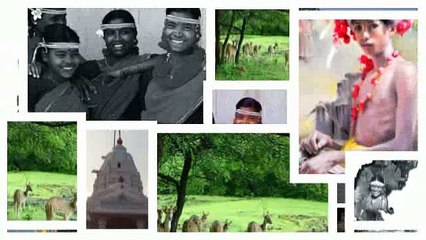 Chhattisgarh Samanya Gyan