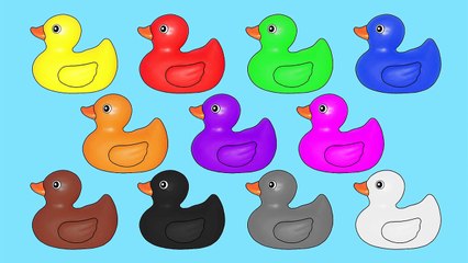 Rubber Ducks Teaching Colors - Learning Basic Colours Video for Kids