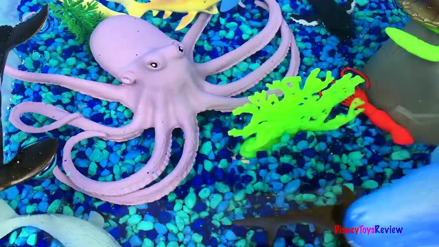 ANIMAL PLANET MEGA OCEAN TUB SHARKS DOLPHINS TURTLES SEAHORSE STARFISH OCTOPUS WHALE CRAB - UNBOXING-xw7X-zcYXAY