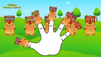 The Finger Family Dog Family Nursery Rhyme | Dog Finger Family Songs