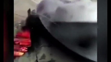 You Will be Shocked, After Watching This Video