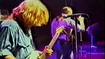Status Quo Live - Don't Waste My Time(Rossi,Young) - Summer Festival Tour Skanderborg Denmark 11-8 1995