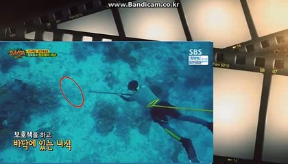 토토 솔루션 제작 전문업체