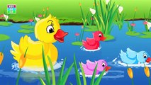 Five Little Ducks Nursery Rhyme With Lyrics | Rhymes & Songs for Children