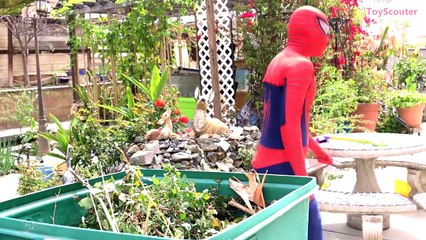 SPIDERMAN vs VENOM Gardening War & Prank - Fun Superhero Movie in Real Life