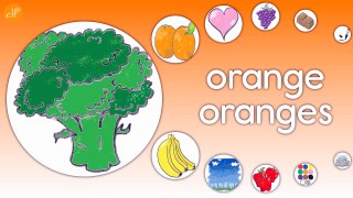Learn Colors   Fruits   Objects   Kindergarten   ELF Learning