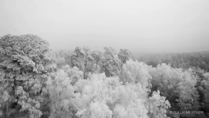 La Normandie recouverte par le givre. Magnifique vidéo filmée par un drône