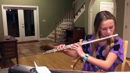 Ce pauvre chien est à bout! : "Non pas cette chanson"