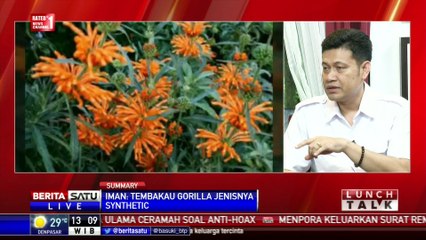 Lunch Talk: “Gorilla” Ternyata Narkoba #1