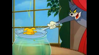 Tom and Jerry - 56 Episode - Jerry and the Goldfish (1951)