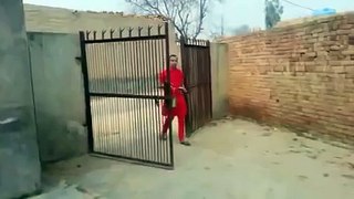 Kmal Hai Janta da Sira Lata 22 ne funny Video