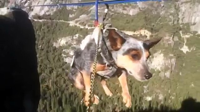 Dean Potter - Whisper Dog Slacklines
