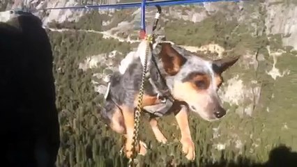 Dean Potter - Whisper Dog Slacklines