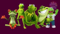 The Finger Family Song | Frogs Finger Family Songs | Finger Family Songs