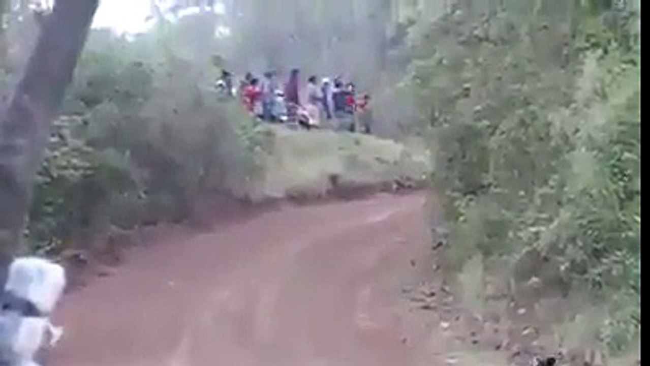 IL CANE SI TROVA SUL TRACCIATO DEL RALLY, CIO' CHE ACCADE E'... DA INFARTO!