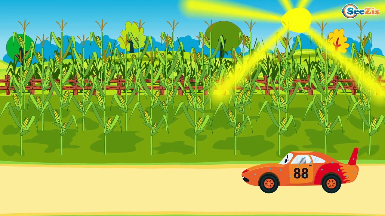 The Blue Monster Truck and Racing Cars - The Big Race in the City of Cars Cartoons for Children