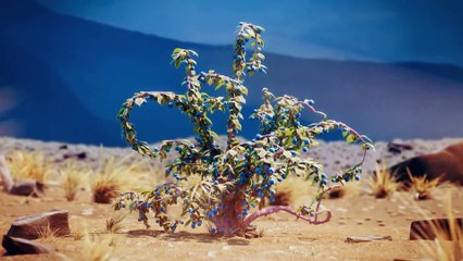 phim hoạt hình ngắn ý nghĩa