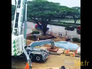 Regarde comment on fait le transfert de l'arbre de l'indemnité de la couper...