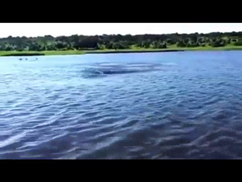 Devinez qui l'a pris dans votre pantalon)))))))))