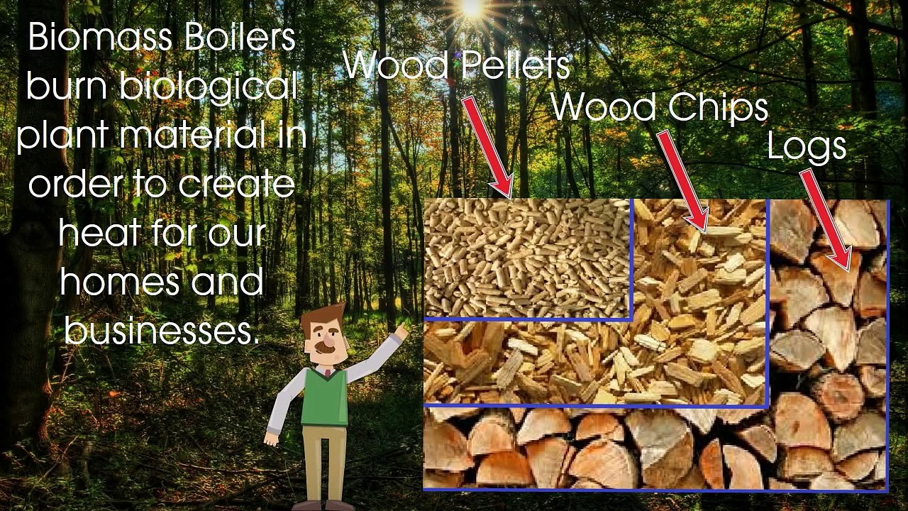 Biomass Boilers Information - The Renewable Energy Hub