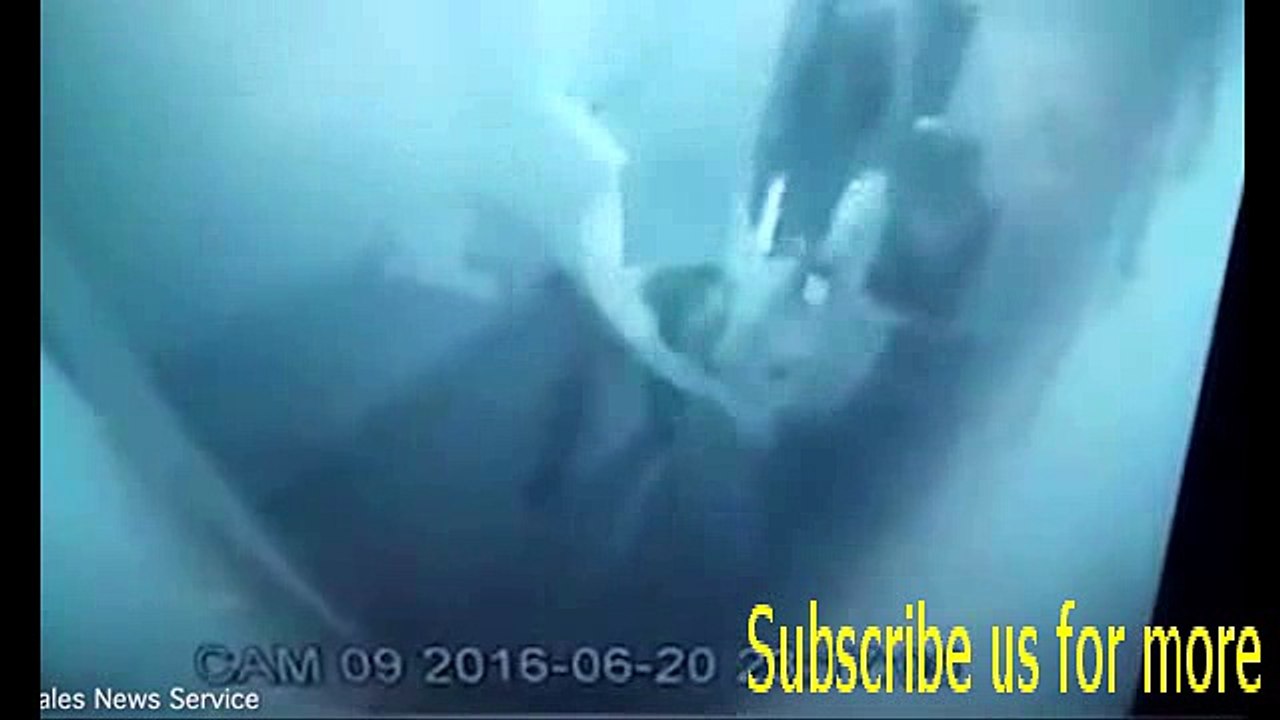 Inmate loses THREE fingers after getting them shut in cell door.