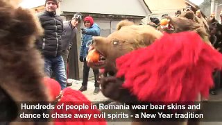 Romania_ Bear dance to chase away evil spirits before New Year[1]