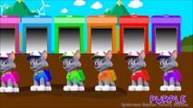Rocky Paw Patrol Colors For Children To Learn - Rocky Learning Colours for Kids with Paw Patrol