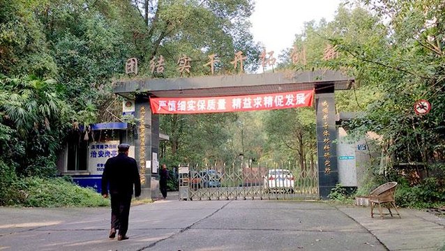 China's future economy: stagnation?