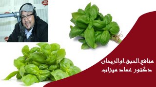 منافع الحبق او الريحان الدكتور عماد ميزاب