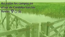 Así están los campos en el sur de Córdoba tras las #Lluvias