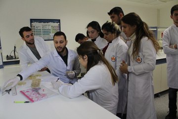 Yumurtalık kanserinde umut veren yöntem