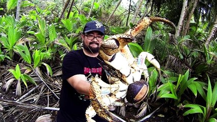 10 gruselige Tiere - die es wirklich gibt! _ MythenAkte-2ehDI8BS-40