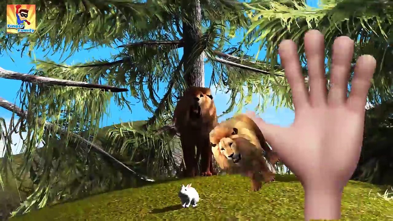 Finger Family Rhymes Crocodile Lion Dinosaurs Cartoons | Children Cartoon Nursery Rhymes