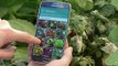 Plantix: As plantas vão ao médico através de uma app