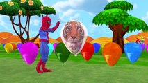 SpiderBaby Kinder Surprise Eggs Street Vehicles | Animals Balloons Finger Family Rhymes Collection