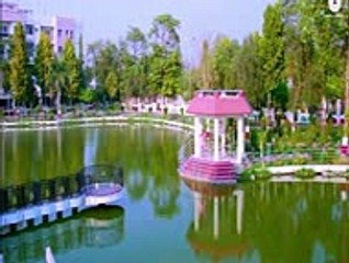 Phool Khile Hai Do Do (Biwi.com)