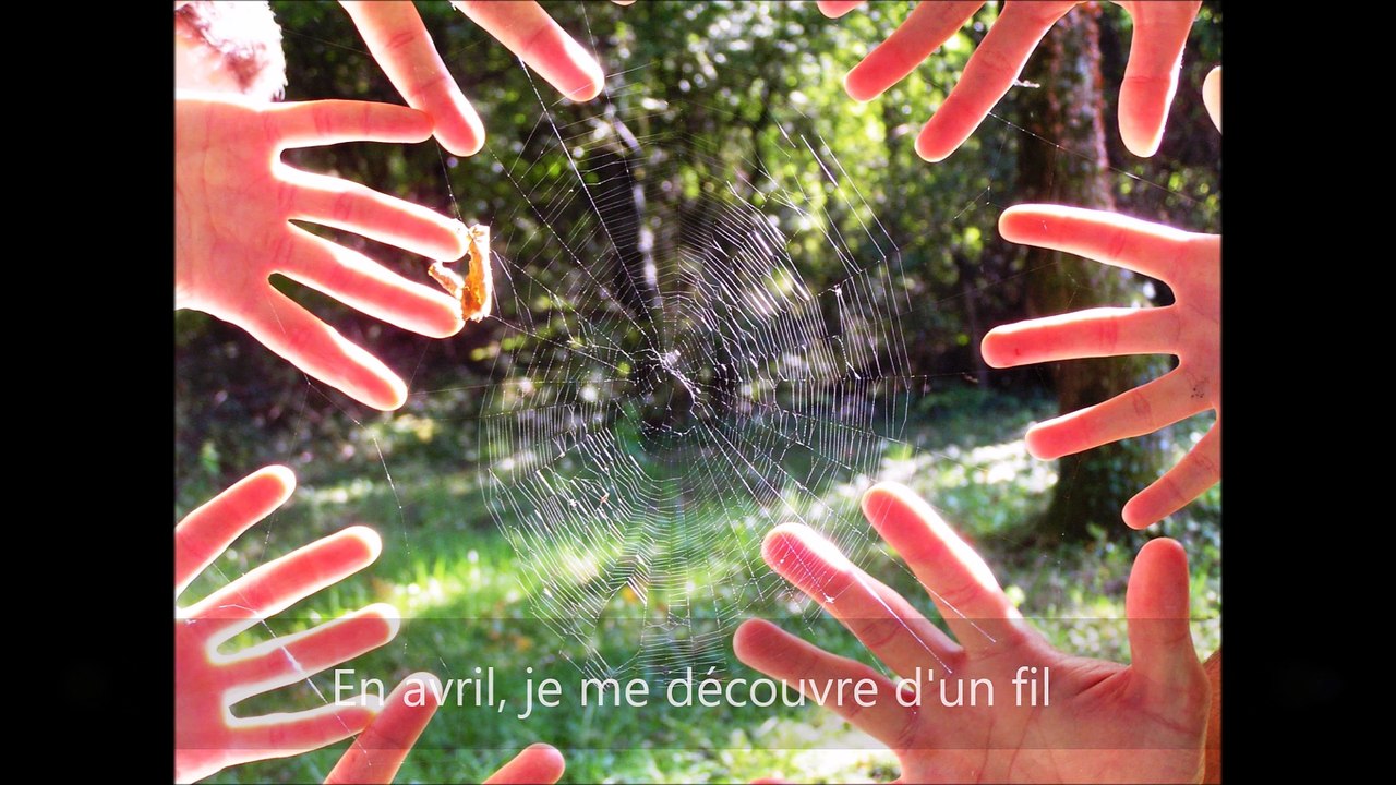 bonne année 2017